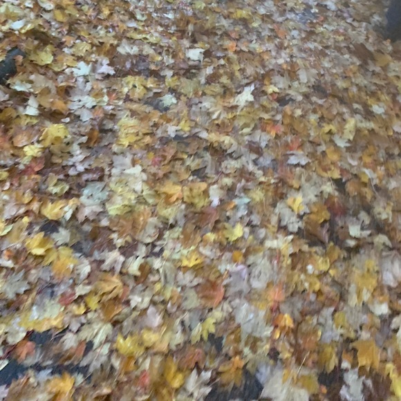 Meet your Posher, Maris - Picture 1 of 1